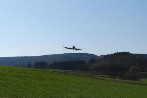 DSC_0137.JPG