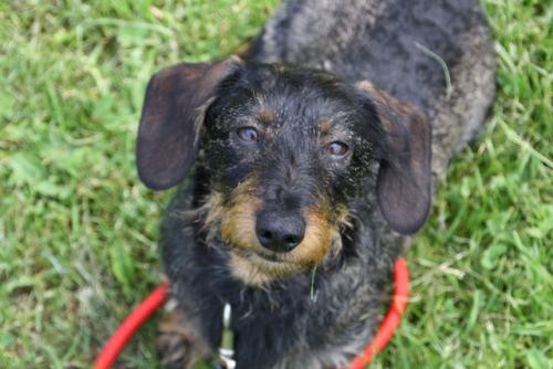 Habbelsonntag 14.05.25 049.jpg